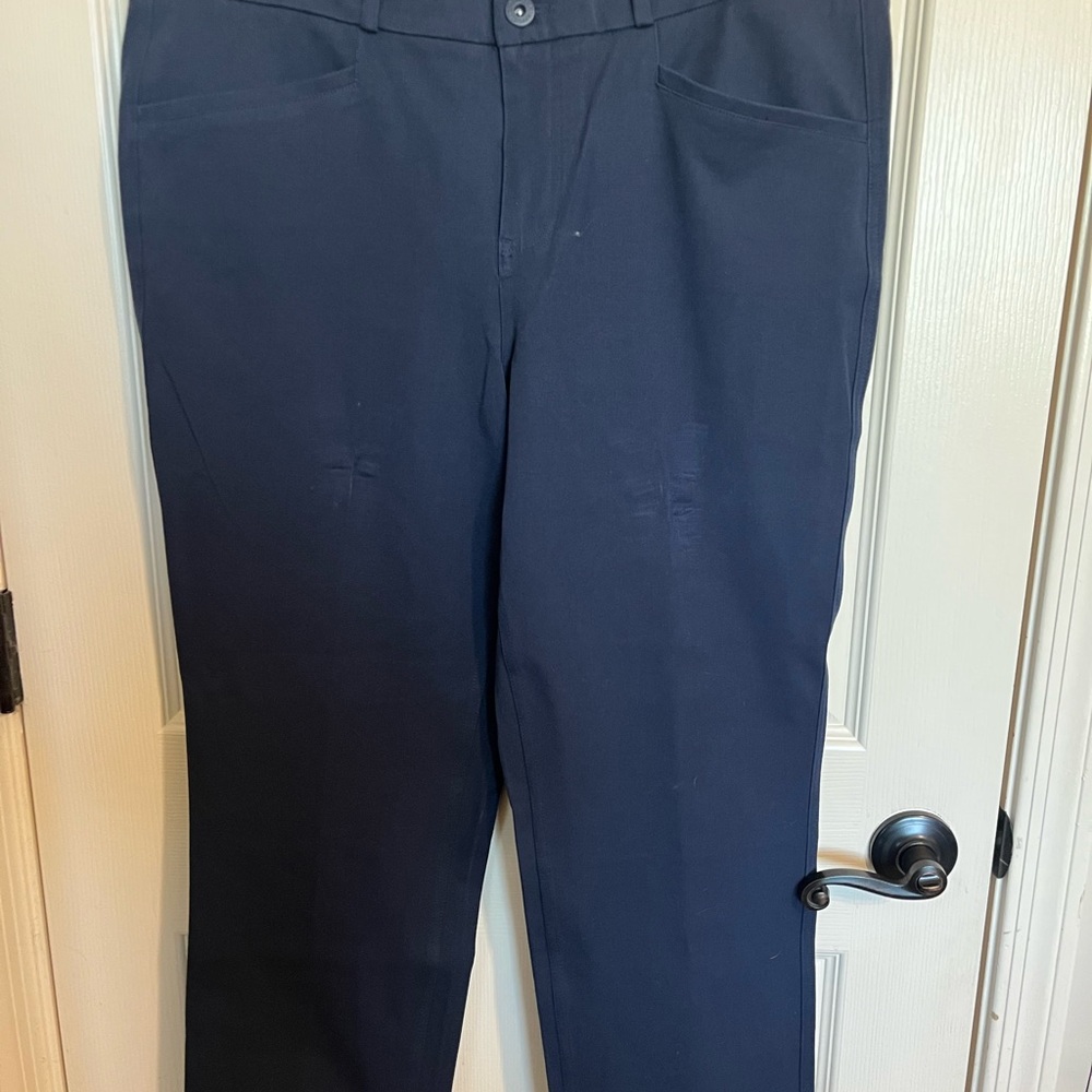 Banana Republic Dark Blue Chinos